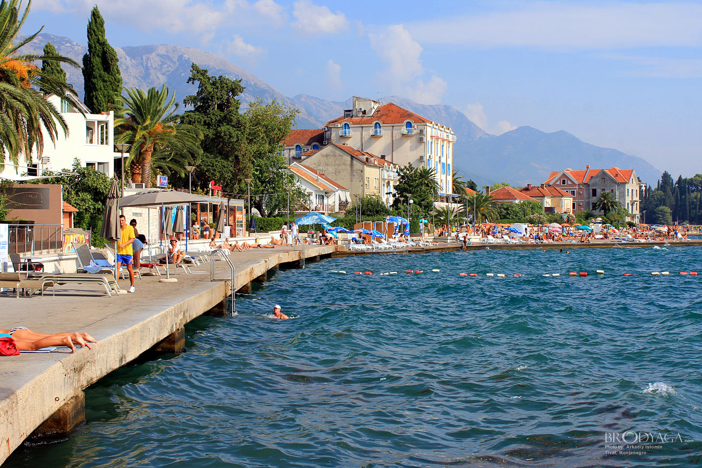Tivat